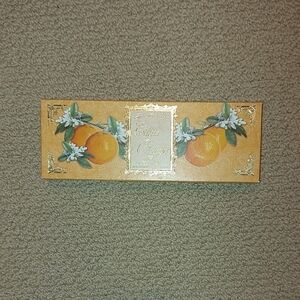 Citris Orange Blossom Hand Soap